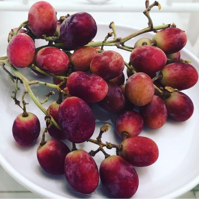 Frozen Red Grapes 112 Calories